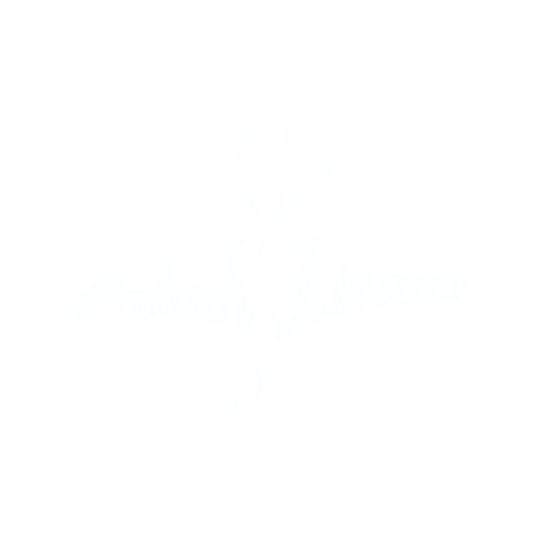 Çabuklisans